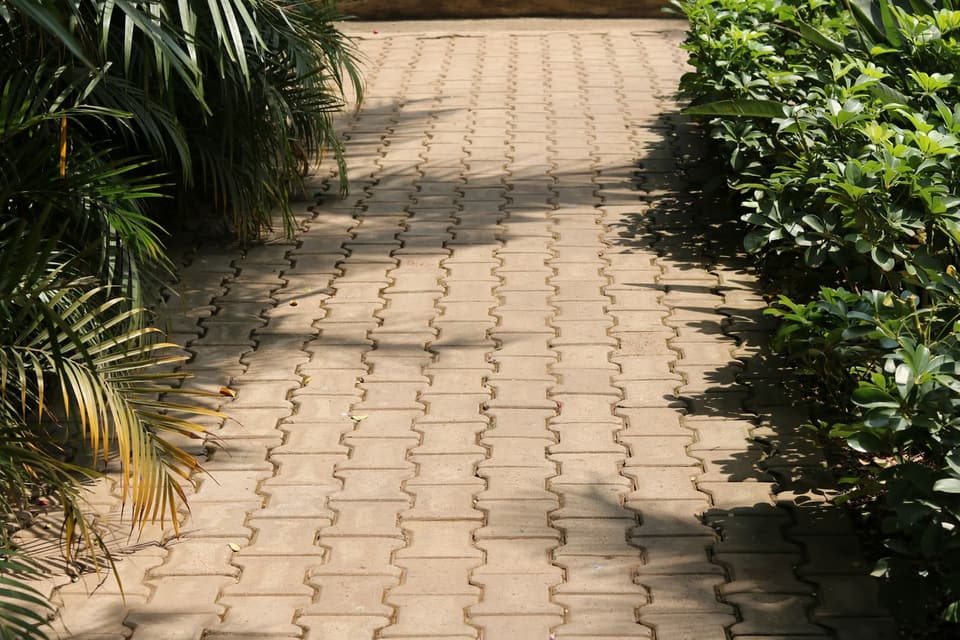 An interlocking paver walkway with palm shadows across it